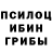 Галлюциногенные грибы Psilocybe Abohassan Nasser