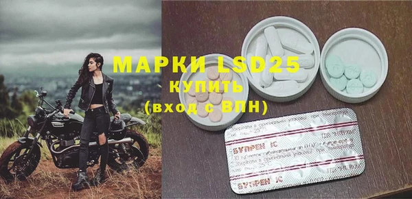 ГАЛЛЮЦИНОГЕННЫЕ ГРИБЫ Балахна