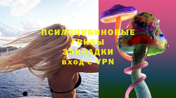 МДПВ Бугульма