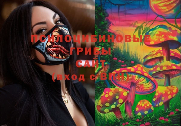 прущие грибы Балабаново