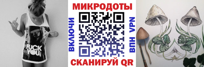 Галлюциногенные грибы Psilocybe  Новомосковск 