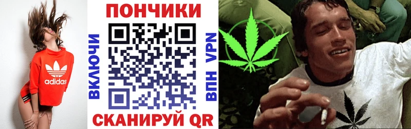 Бошки Шишки THC 21%  МЕГА ссылка  Новомосковск 